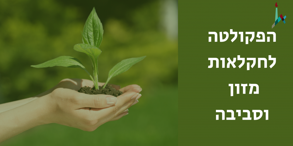 תמונה של צמח